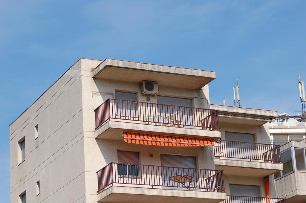 Rnet - Casablanca Roses